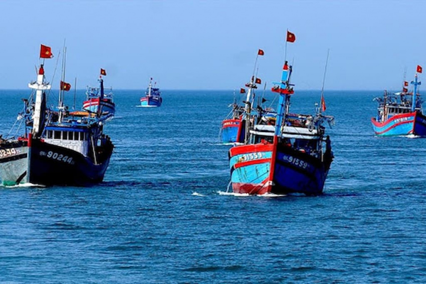 Cảng cá Hòn Rớ vựa hải sản lớn nhất Nha Trang