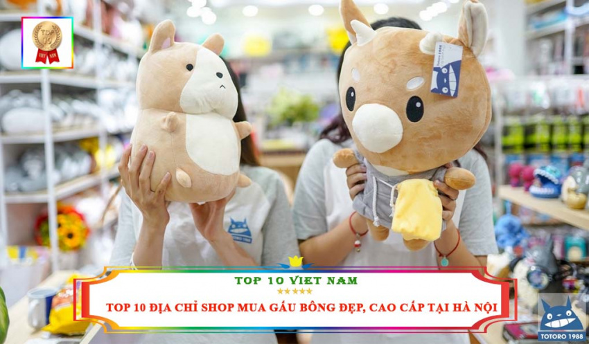 Top 10 Địa Chỉ Shop Mua Gấu Bông Đẹp, Cao Cấp Tại Hà Nội
