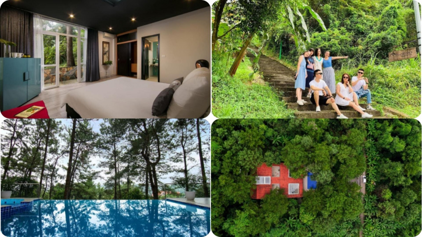 top 18 biệt thự villa tam đảo vĩnh phúc giá rẻ đẹp có hồ bơi nguyên căn