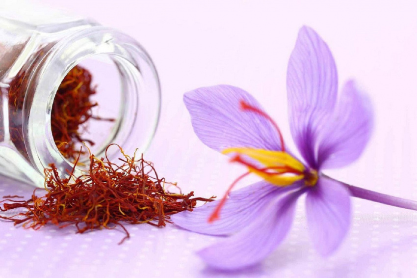 Nhụy hoa nghệ tây – Saffron là gì? Công thức làm đẹp đơn giản
