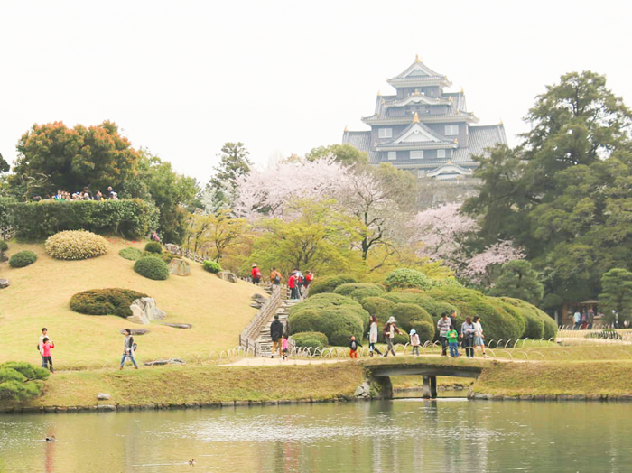 Du lịch Nhật Bản mùa xuân - Những điều tuyệt vời hơn cả hoa anh đào