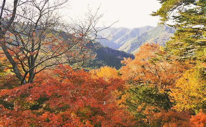 , du lịch nhật bản mùa thu - 46 địa điểm ngắm lá đỏ lá vàng đẹp nhất nước nhật
