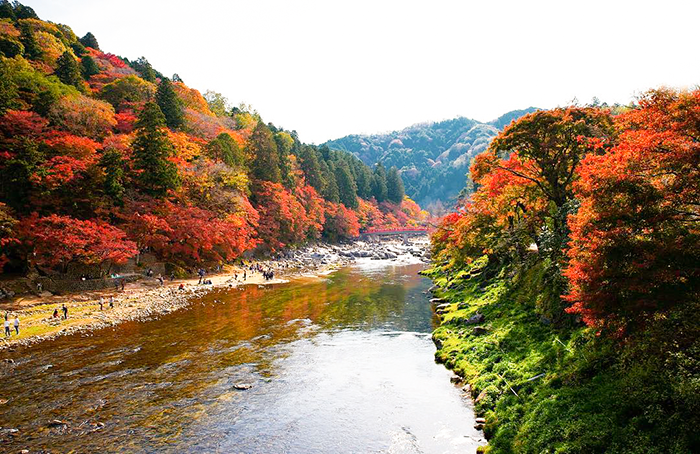 , du lịch nhật bản mùa thu - 46 địa điểm ngắm lá đỏ lá vàng đẹp nhất nước nhật