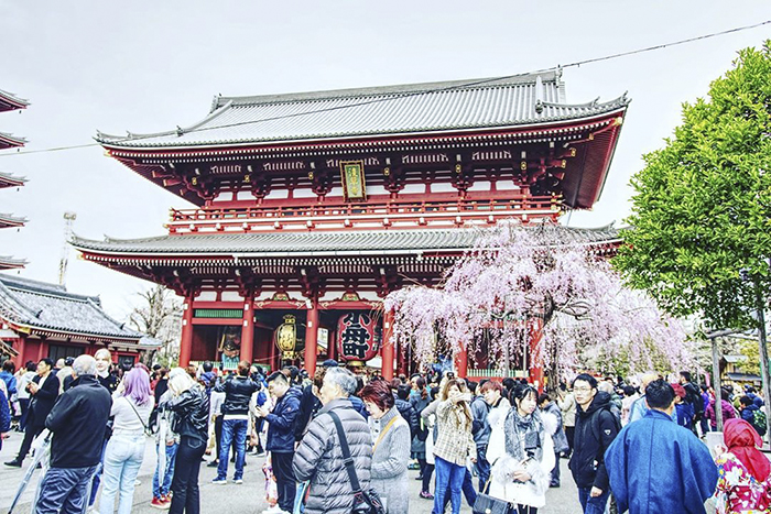 , top các địa điểm du lịch nổi tiếng ở tokyo mà du khách nhất định phải ghé thăm