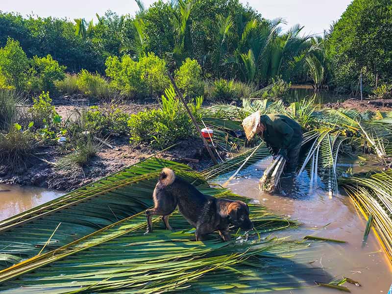 du lịch hà tiên, 8 địa điểm khu du lịch hà tiên tự túc đẹp nhất để tham quan