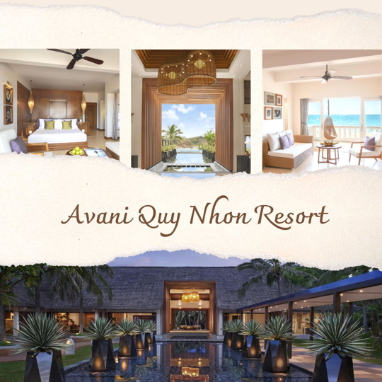 top resort và khách sạn quy nhơn sang – xịn – mịn