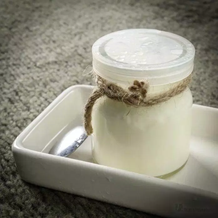 sức khỏe, dinh dưỡng, 3 cách làm sữa chua trắng đơn giản tại nhà