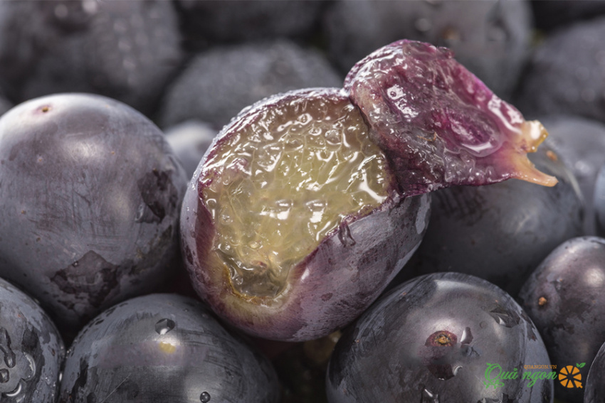 các loại vỏ trái cây tốt, top 9 các loại vỏ trái cây có tác dụng tốt cho sức khỏe