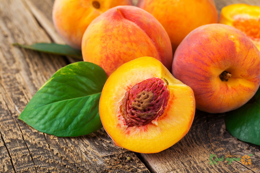 trái cây ngừa ung thư vú, 9 loại trái cây ngăn ngừa ung thư vú và tái phát bệnh hiệu quả