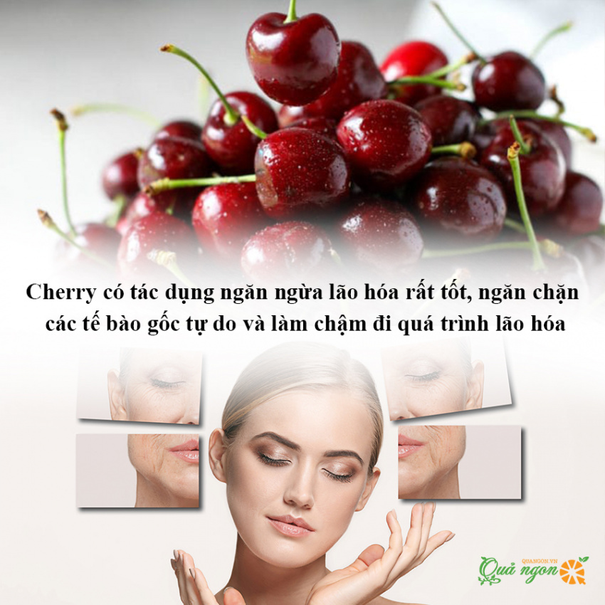 lợi ích sức khỏe của cherry, 9 lợi ích sức khỏe ấn tượng của quả cherry