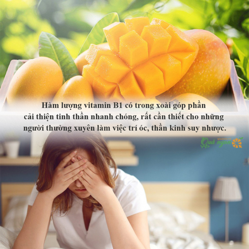 trái cây giúp giảm stress, các loại trái cây có tác dụng giúp giảm stress hiệu quả
