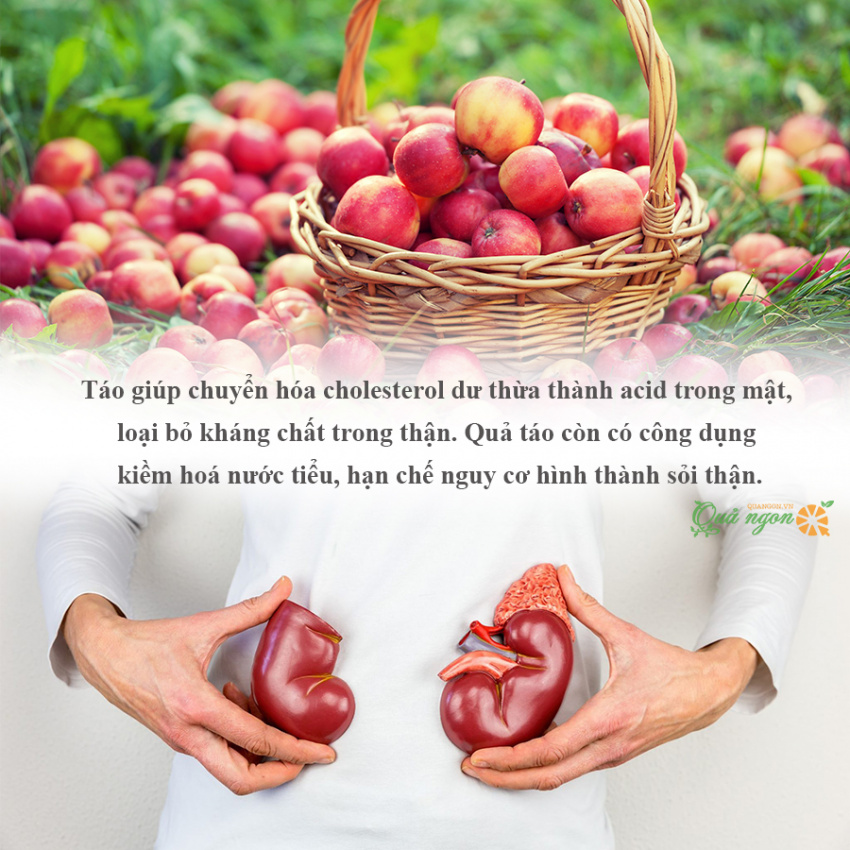 trái cây có lợi cho thận, 9 loại trái cây có lợi cho những người bị sỏi thận