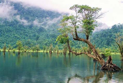 Vẻ Đẹp Hồ Noong Thơ Mộng