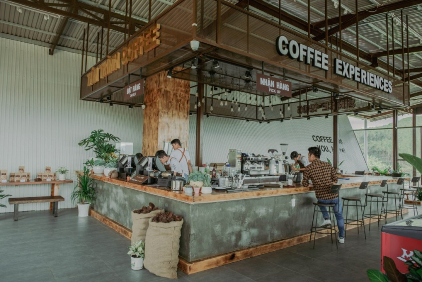 cà phê farm to cup view thác voi độc đáo cùng tám trình coffee