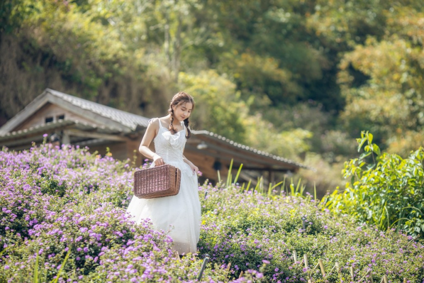 địa điểm tham quan, vườn “lavender túi thương nhớ” được cộng đồng mạng liên tục giọi tên