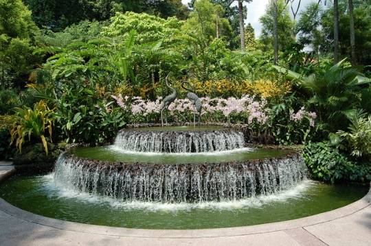Vườn thực vật Singapore – Công viên đẹp nhất châu Á