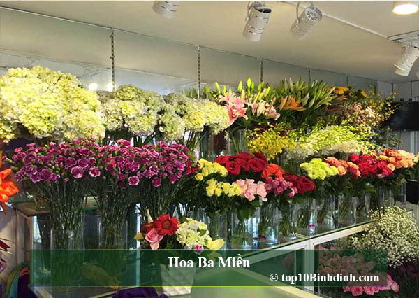 quy nhơn, bình định, top, top 10 cửa hàng hoa tươi đa chủng loại tại quy nhơn bình định