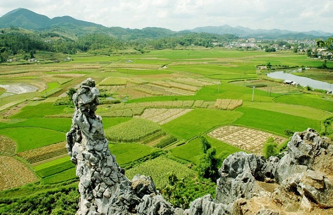 bình định, đến phù cát bình định mà không biết đi đâu, ăn gì? tham khảo ngay những gợi ý này nhé!