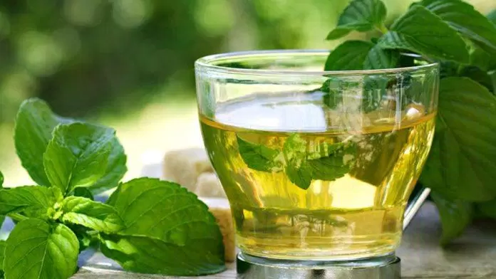 sức khỏe, dinh dưỡng, 7 loại trà tốt cho người bệnh tiểu đường, giúp giảm cân và kiểm soát đường huyết