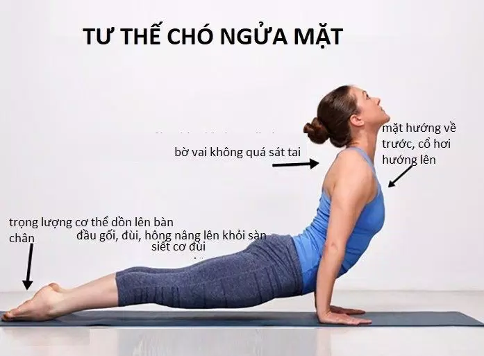 sức khỏe, fitness & yoga, 5 lỗi sai thường gặp khi tập yoga mà bạn cần tránh ngay