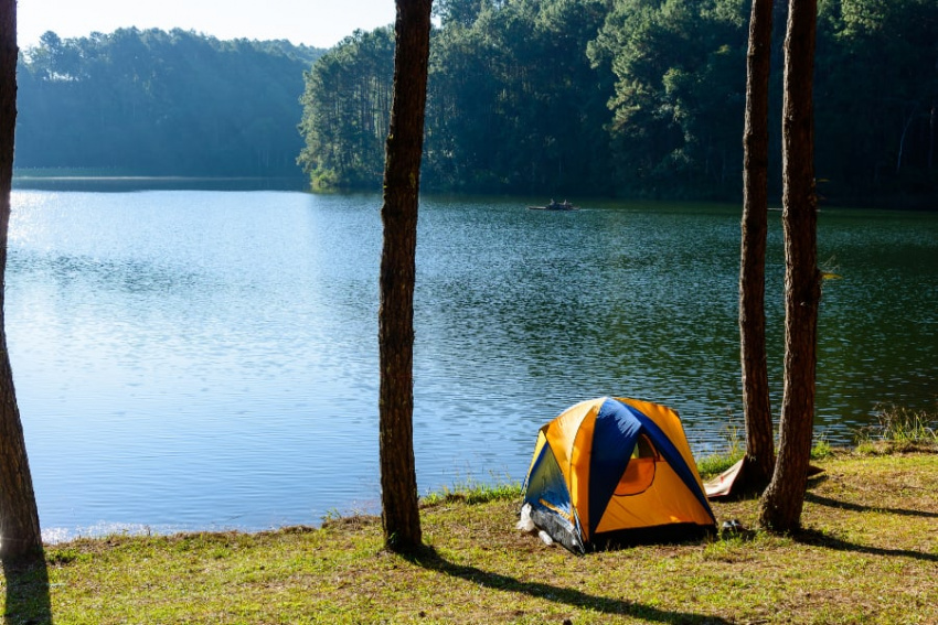 top 25 địa điểm cắm trại đà lạt view đẹp khó cưỡng