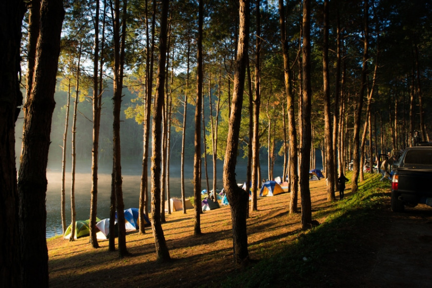 top 25 địa điểm cắm trại đà lạt view đẹp khó cưỡng
