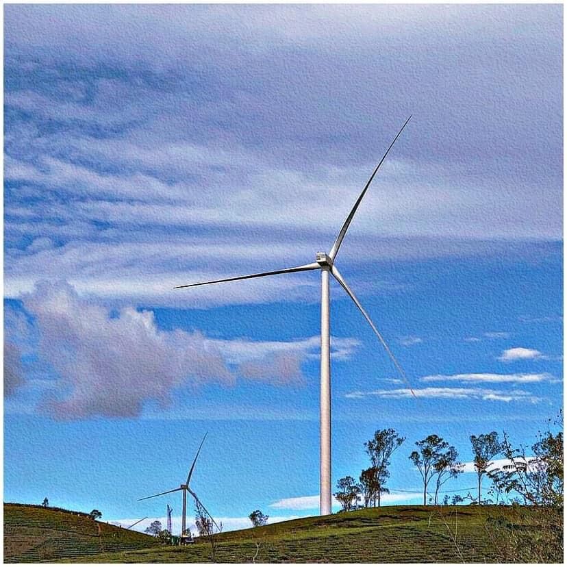 đồi chè cầu đất đà lạt: kinh nghiệm check - in trụ điện gió khổng lồ 2022