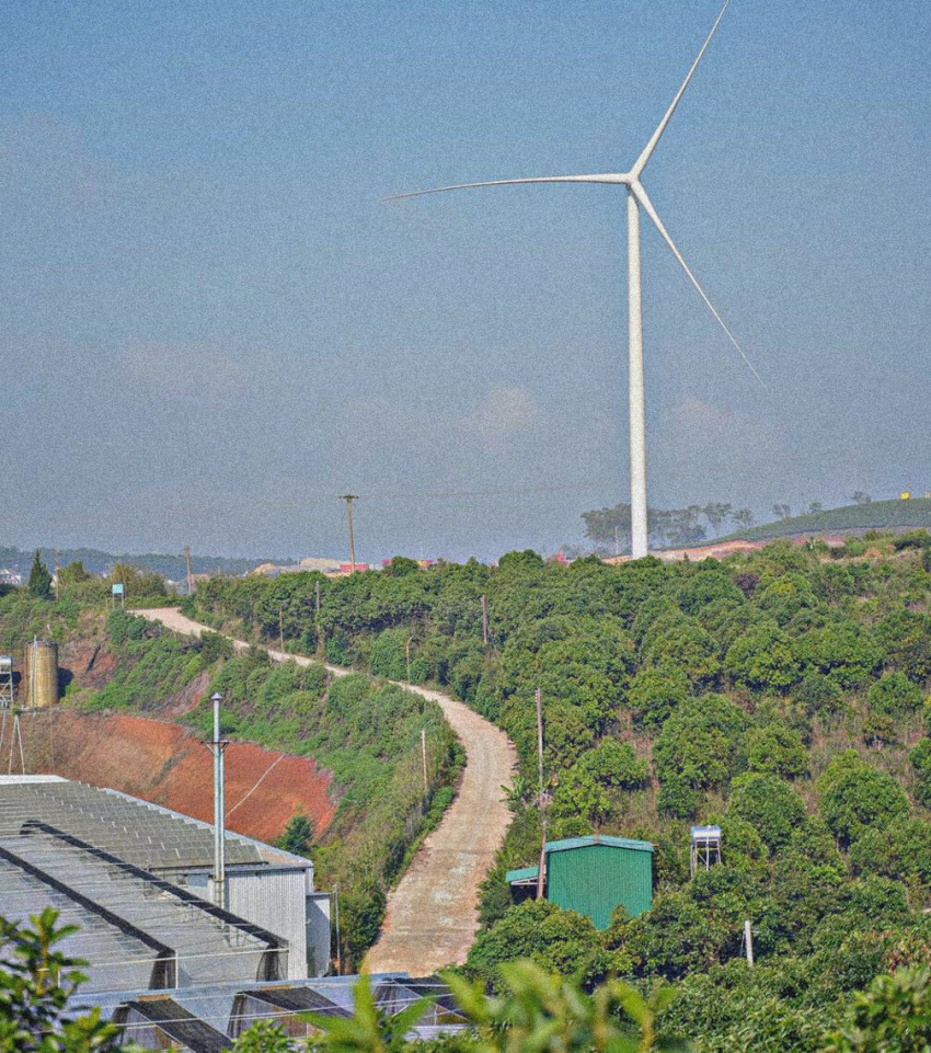 đồi chè cầu đất đà lạt: kinh nghiệm check - in trụ điện gió khổng lồ 2022