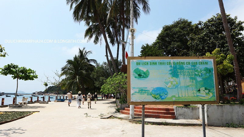 Kinh nghiệm du lịch Cù Lao Chàm tự túc 2022 lặn ngắm san hô, cù lao chàm