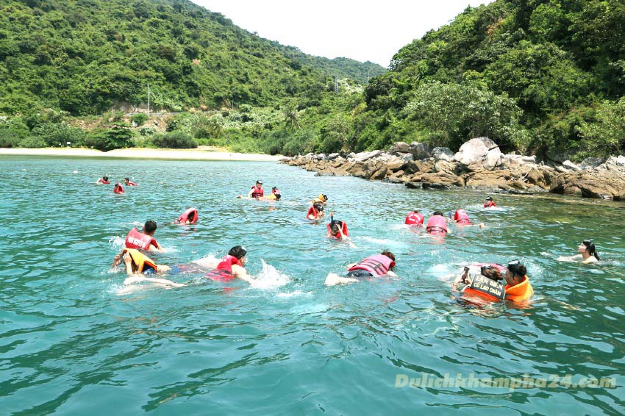 Kinh nghiệm du lịch Cù Lao Chàm tự túc 2022 lặn ngắm san hô, cù lao chàm