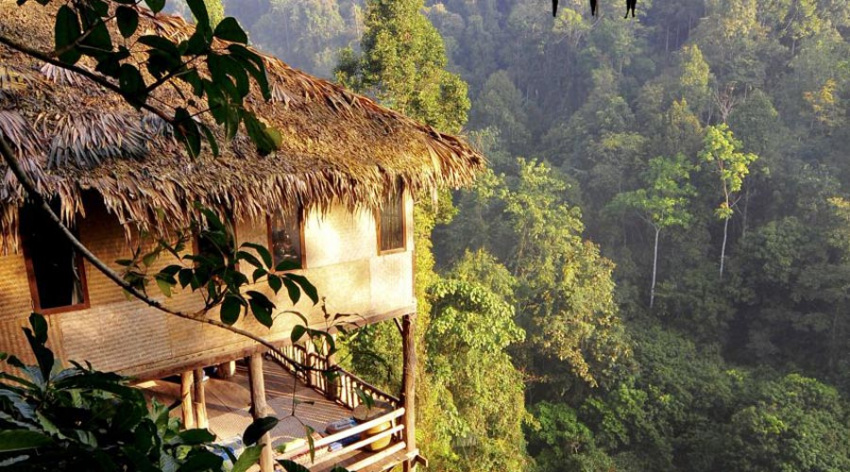 Ngôi nhà trên cây ở Chiang Mai mà bạn nên đến check in
