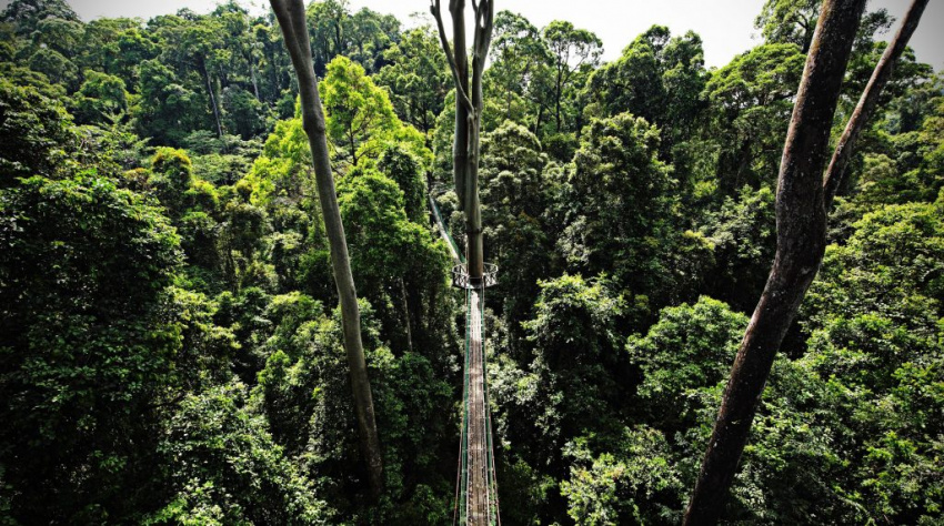 Những điều cần lưu ý khi du lịch Borneo, Malaysia