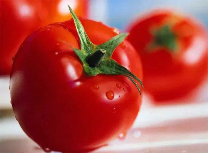 sức khỏe, dinh dưỡng, những điều cần biết về quả cà chua để “nâng cấp” bữa ăn gia đình bạn