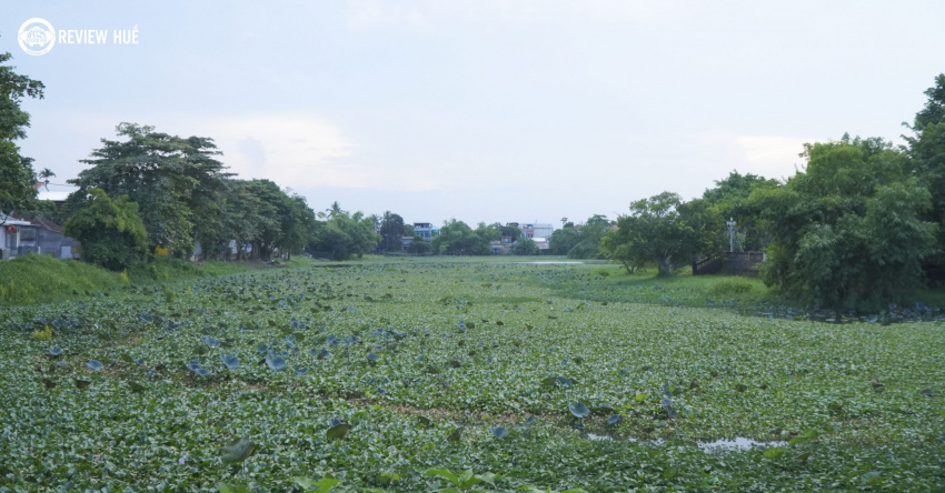 vẻ đẹp yên bình của hồ tịnh tâm những ngày đầu thu.