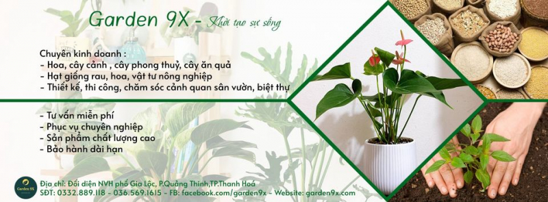 top 4  dịch vụ thiết kế, thi công cảnh quan sân vườn chuyên nghiệp nhất tỉnh thanh hóa