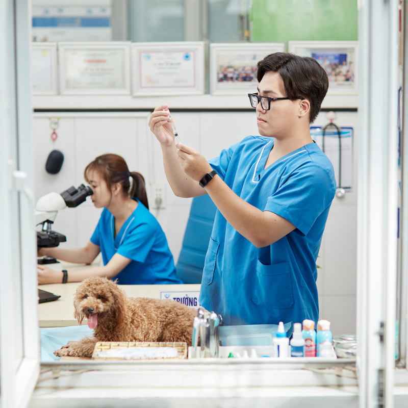 top 10  dịch vụ chăm sóc thú cưng uy tín nhất tại tphcm