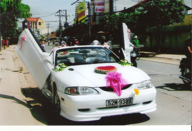 top 9  dịch vụ cho thuê xe hoa ngày cưới giá rẻ và uy tín nhất tại tp.hcm