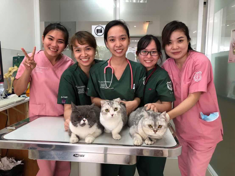 top 11  dịch vụ spa cho thú cưng uy tín nhất ở tp.hcm