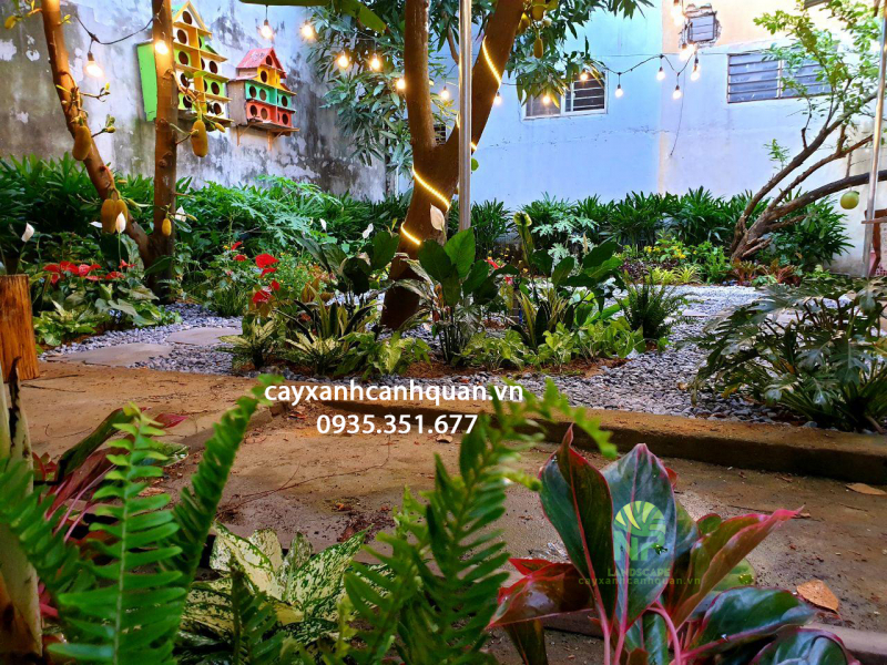 top 5  dịch vụ thiết kế, thi công cảnh quan sân vườn chuyên nghiệp nhất tại đà nẵng