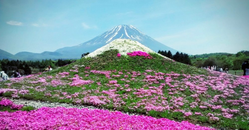 Check-in Núi Phú Sĩ, Biểu Tượng Đầy Tự Hào Của Nhật Bản, Tokyo, NHẬT BẢN