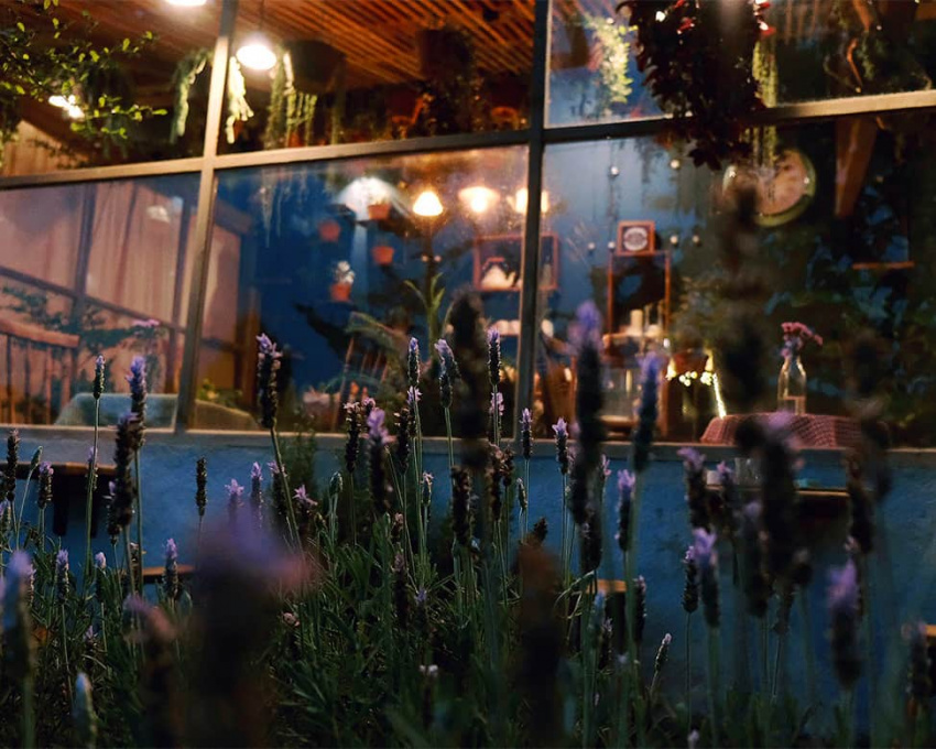 giải mã sức hút đặc biệt của quán cafe khu vườn mùa hè đà lạt