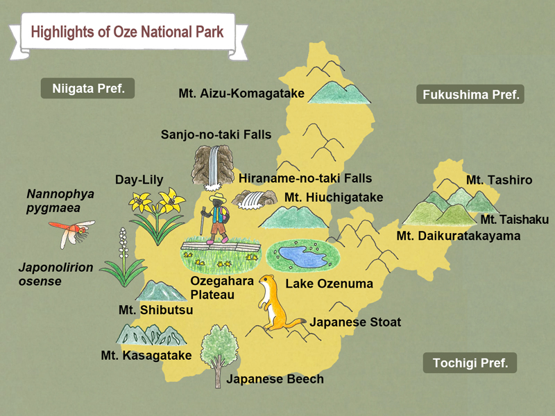 cùng chúng mình khám phá các công viên quốc gia (p3) – kanto