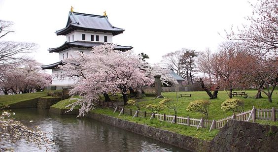 những địa điểm ngắm hoa anh đào ở hokkaido –