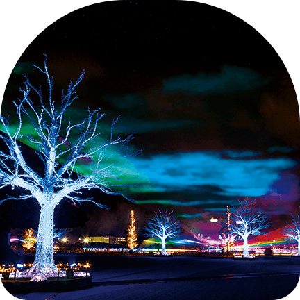 khám phá tokyo mega illumination: công viên giải trí ngoài trời rực rỡ