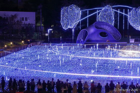 Lễ hội ánh sáng Winter Illumination ở Tokyo