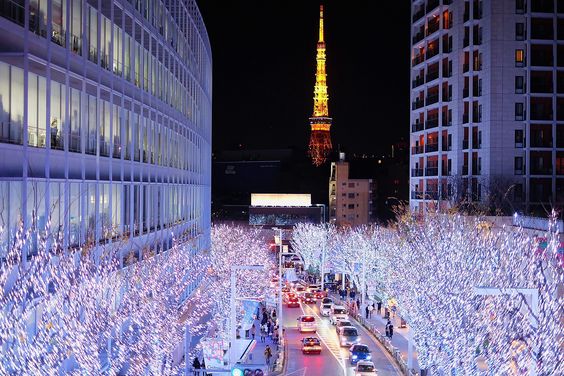 lễ hội ánh sáng winter illumination ở tokyo