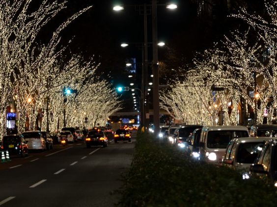 lễ hội ánh sáng winter illumination ở tokyo
