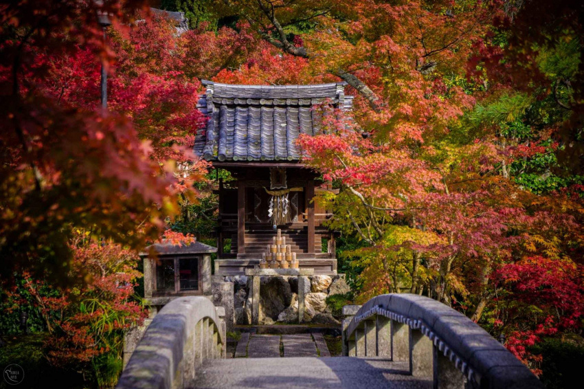 10 địa điểm ngắm lá đỏ ở kyoto