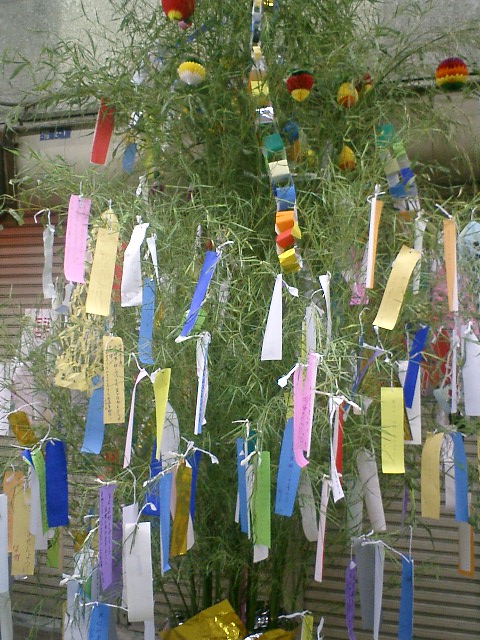tanabata – ngày lễ thất tịch nhật bản