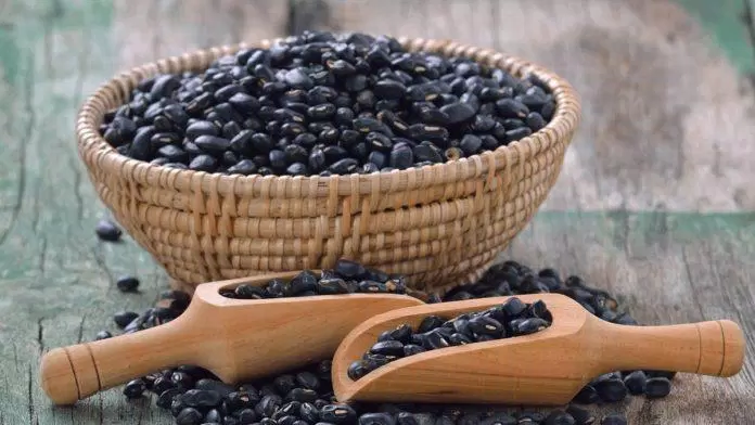 sức khỏe, dinh dưỡng, lợi ích và giá trị dinh dưỡng của đậu đen có thể bạn chưa biết